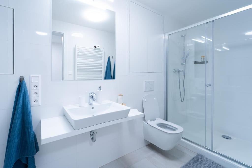 City Park Apartment - Brno Bagian luar foto