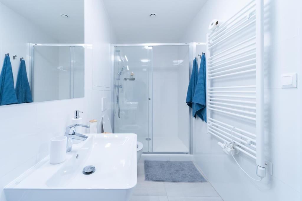 City Park Apartment - Brno Bagian luar foto
